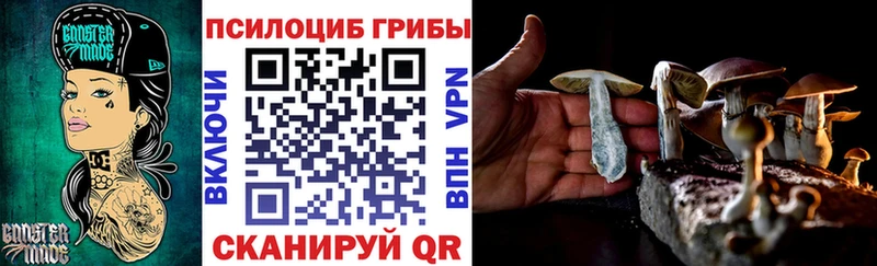Купить где  Жердевка  Псилоцибиновые грибы мицелий 